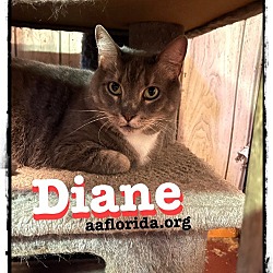 Thumbnail photo of Diane #2