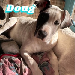 Photo of Doug