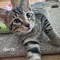 Thumbnail photo of Garth #2