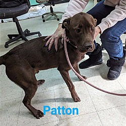 Photo of Patton