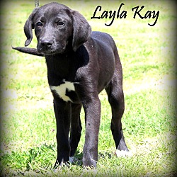 Thumbnail photo of Layla Kay ~ meet me! #2