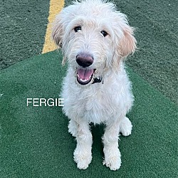 Photo of Fergie