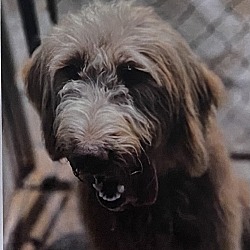 Photo of Liza