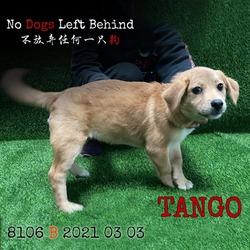 Thumbnail photo of Tango 8106 #1