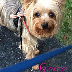 Thumbnail photo of Grace #1