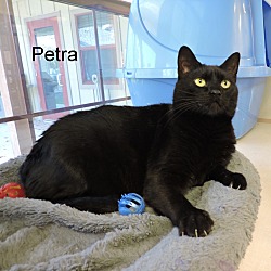 Thumbnail photo of Petra #4