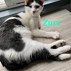 Photo of Zuri