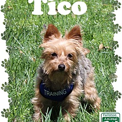 Thumbnail photo of Tico #3