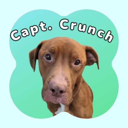 Photo of Captain Crunch