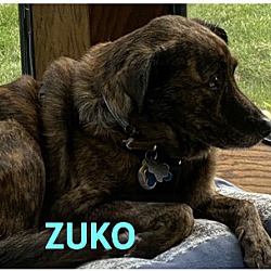 Photo of Zuko