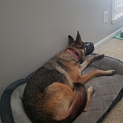 Photo of Willow
