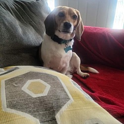 Photo of Lily