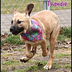 Thumbnail photo of Thandie #4