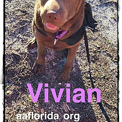 Thumbnail photo of Vivian #3