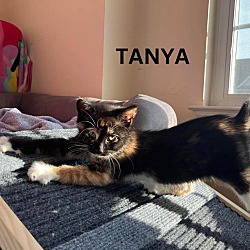 Photo of Tanya