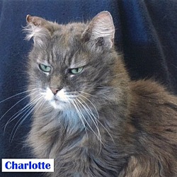 Thumbnail photo of Charlotte #2