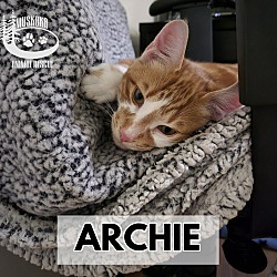 Thumbnail photo of Archie #1