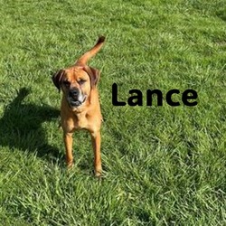 Thumbnail photo of Lance #4