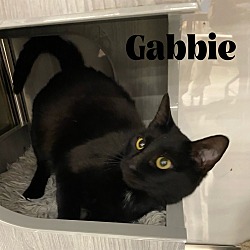 Photo of Gabbie