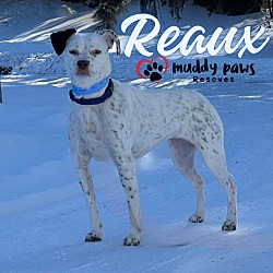 Thumbnail photo of Reaux - Courtesy Post #2