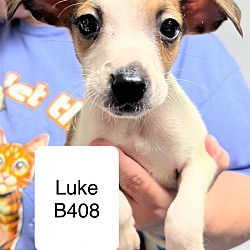 Thumbnail photo of Luke B408 #1