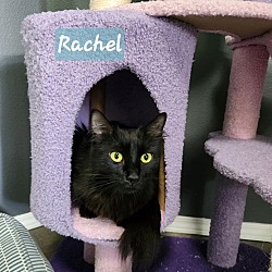 Thumbnail photo of Rachel #1