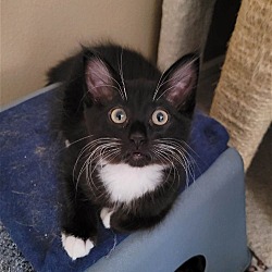 Photo of Todd