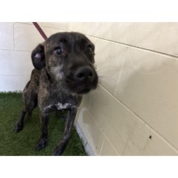 Photo of WIGGLES