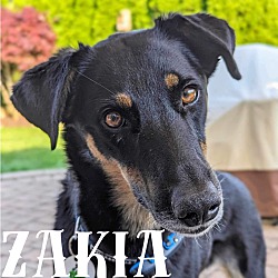 Photo of Zakia