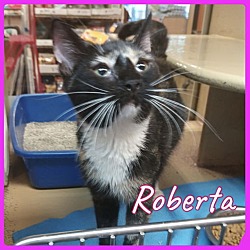 Photo of ROBERTA