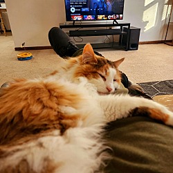 Photo of Cooper patches Magee 