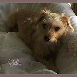 Thumbnail photo of DELTA #2