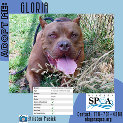 Photo of Gloria