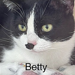 Thumbnail photo of Betty #3