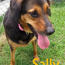 Thumbnail photo of Sally #2