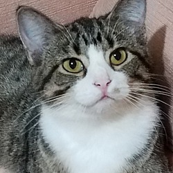 Photo of Aubrey