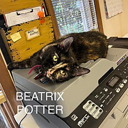 Photo of Beatrix Potter