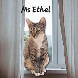 Thumbnail photo of Ms Ethel #high-octane #2