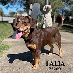 Thumbnail photo of Talia #1