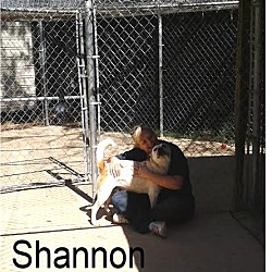 Thumbnail photo of Shannon #3