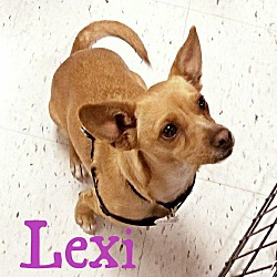 Thumbnail photo of Lexi #4