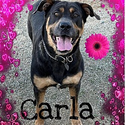 Photo of Carla