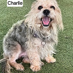 Photo of Charlie