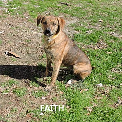 Thumbnail photo of Faith #3