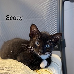 Photo of Scotty