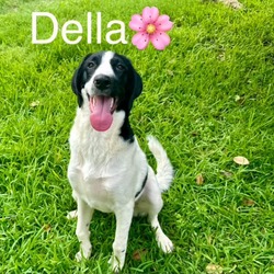 Thumbnail photo of Della (formerly Mary Beth) #1