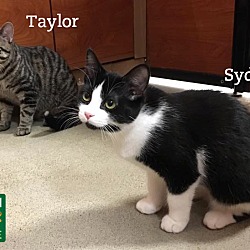 Thumbnail photo of Taylor & Sydney #3
