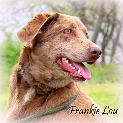 Thumbnail photo of Frankie Lou ~ meet me! #2