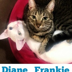 Photo of Diane