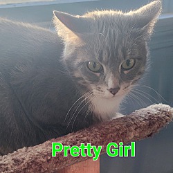 Thumbnail photo of Pretty Girl #2